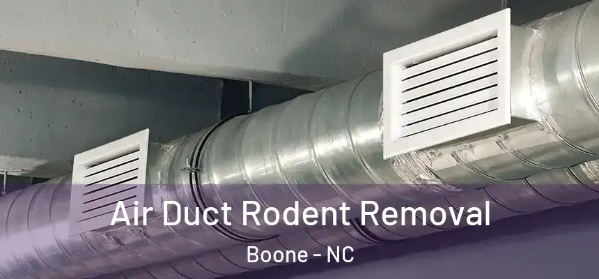  Air Duct Rodent Removal Boone - NC