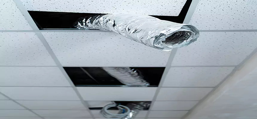 Affordable HVAC Sanitizing After Pest Removal in Boone