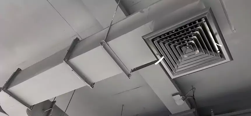 Restorative Allergy Relief Vent Cleaning – Coil, Blower & Housing Detail in Boone