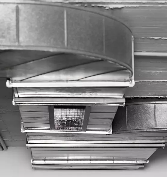 Professional Air Duct Pet Hair Removal in Boone, NC